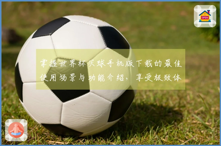 掌握世界杯买球手机版下载的最佳使用场景与功能介绍，享受极致体育体验