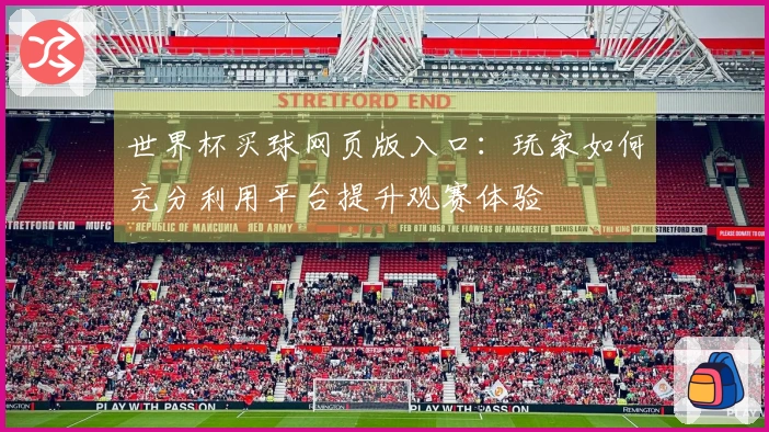 世界杯买球网页版入口：玩家如何充分利用平台提升观赛体验