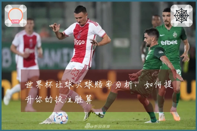 世界杯让球买球赔率分析，如何提升你的投注胜算