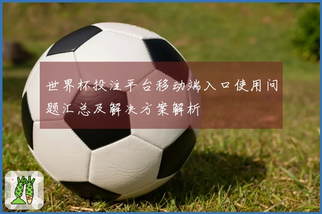 世界杯投注平台移动端入口使用问题汇总及解决方案解析
