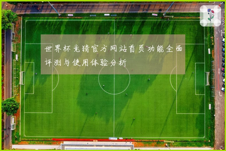 世界杯竞猜官方网站首页功能全面评测与使用体验分析