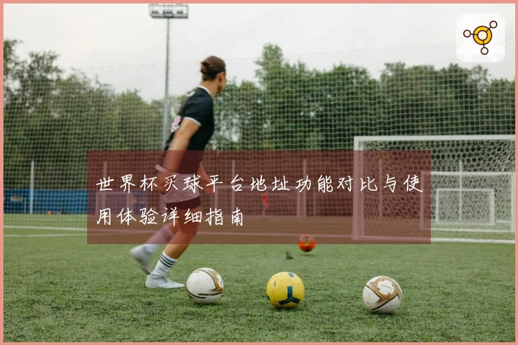 世界杯买球平台地址功能对比与使用体验详细指南
