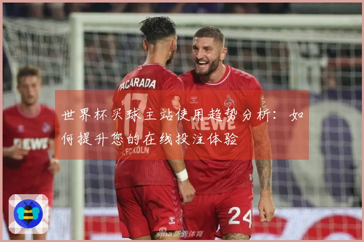 世界杯买球主站使用趋势分析：如何提升您的在线投注体验