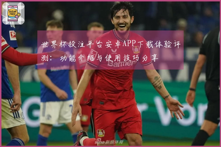 世界杯投注平台安卓APP下载体验评测：功能介绍与使用技巧分享