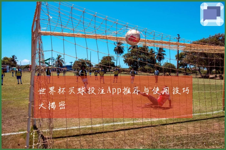 世界杯买球投注App推荐与使用技巧大揭密