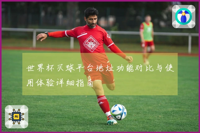 世界杯买球平台地址功能对比与使用体验详细指南